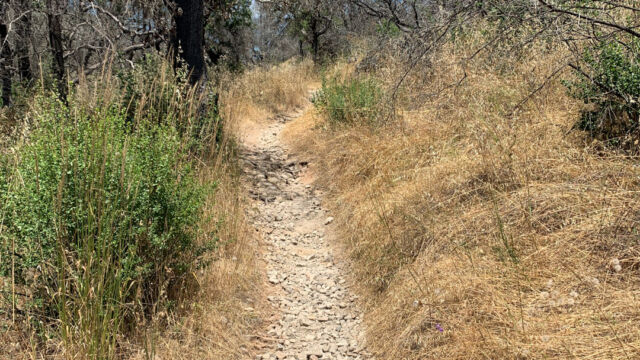 Lawndale trail at Trione-Annadel State Park, over the top of the hill. More exposed, very rocky trail, lots of damage from the 2017 Nuns fire Lawndale trail at Trione-Annadel State Park