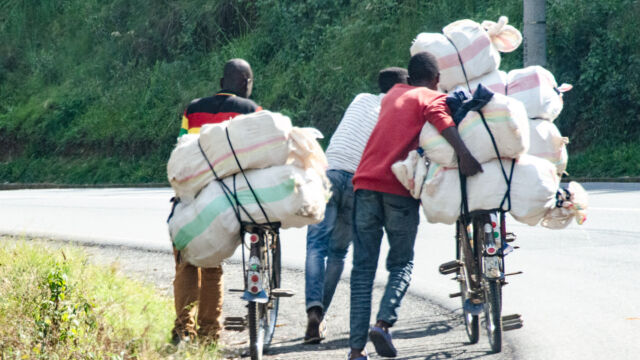 The main local crop is Irish potatoes, family farmers have to get them to the collection center without motorized vehicles Rwanda agriculture