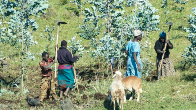 Agriculture is mostly work done by hand Rwanda agriculture