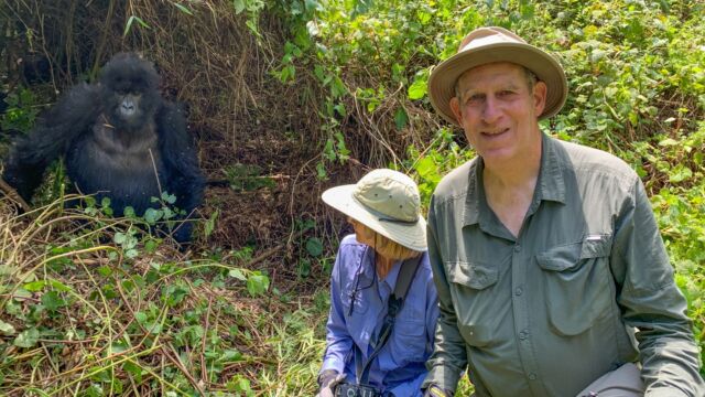 You get incredibly close. This is the photo that we used to scare our daughter back home, who had been worried that the gorillas would eat us. (Gorilla beringei ssp. beringei) Mountain Gorilla, Gorilla beringei ssp. beringei