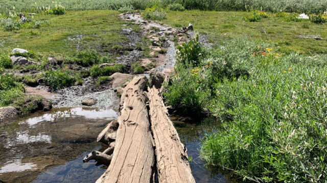 Log bridge over the outlet of Winnemucca Lake, with the trail leading up towards Round Top lake. Log bridge over the outlet of Winnemucca Lake