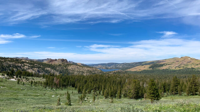 View towards Caples Lake over one of the hillside meadows View South