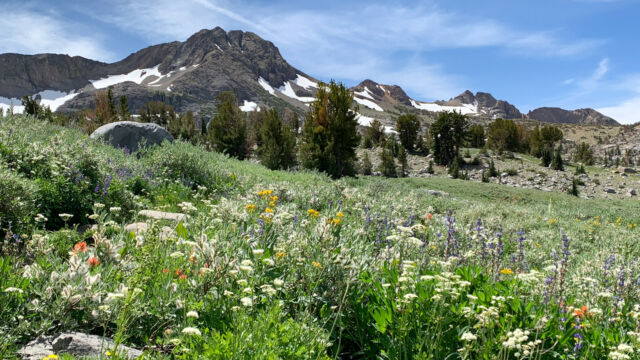 Looking towards Round Top at the main wildflower garden. Still lots of snow! Round Top