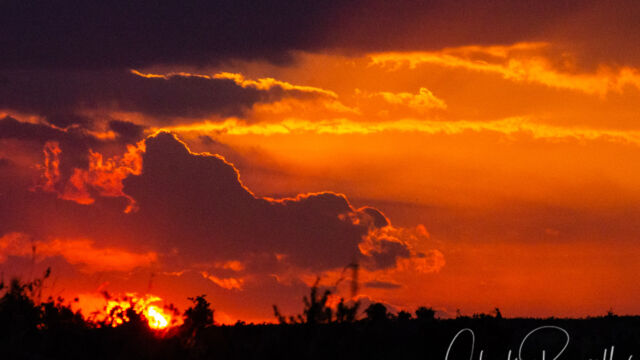 Sunset while on safari Sunset while on safari
