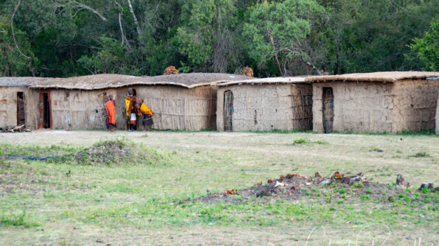 Maasai village visit, mud and dung huts in circle around center area (cattle boma will be built in center later) Maasai village visit, mud and dung huts in circle around center area (cattle boma will be built in center later)