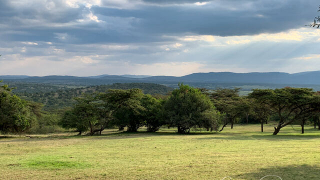 The view from the dining area at Cottar's Camp. You are looking off into the Serengeti and Tanzania The view from the dining area at Cottar's Camp. YHou are looking off into the Serengeti and Tanzania