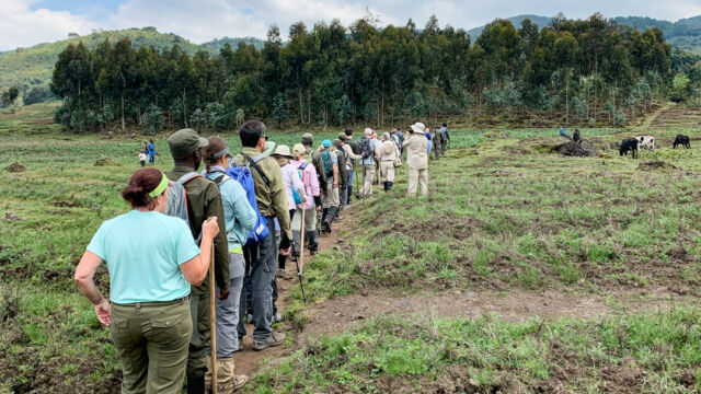 Here's the tour group heading across the farmland. You can tell where the park boundary starts. Here's the tour group heading across the farmland.