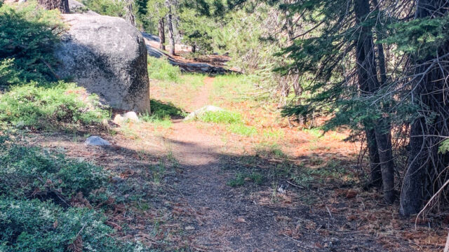Start of the trail, from the highway, leading to the creek Oyster Creek