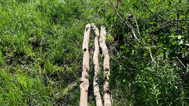 The trail crosses some wet areas, there aren't any formal bridges Oyster Creek