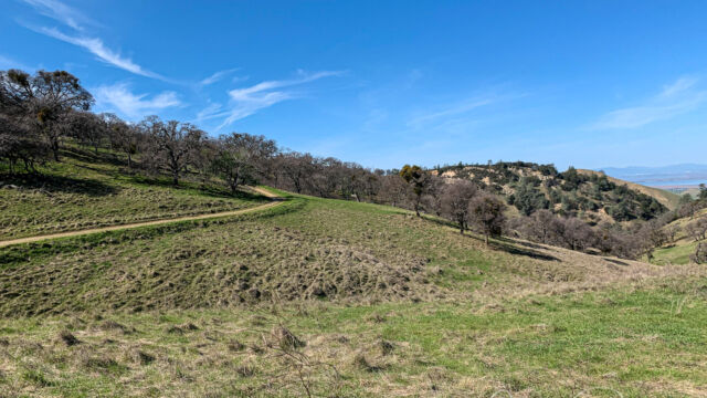 Broad grasslands and oak trees along the ridge of the Black Diamond trail Black Diamond Trail