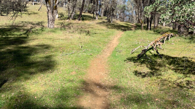 The trail takes you through mixed oak woodland Boot hill trail