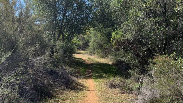 The trail alternates between chaparral and oak woodland Boot hill trail