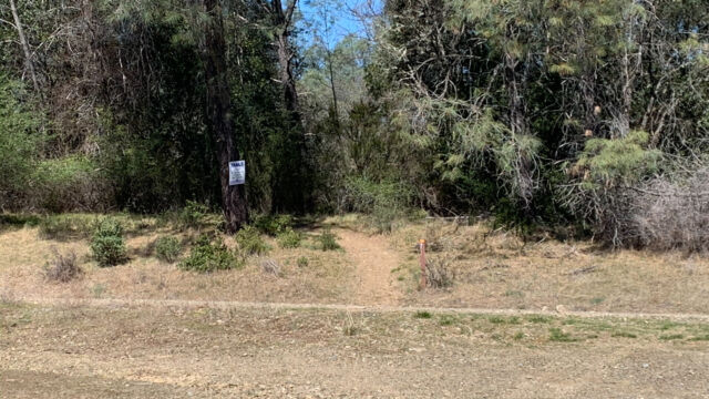 View of the trailhead from the parking area across the road. Boot hill trail