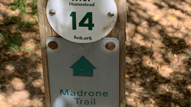 Marker 14 Homestead Valley trail marker 14