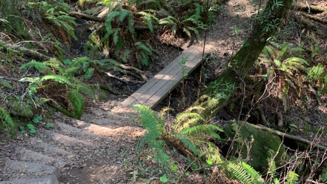 Marker 16 to 14, West trail, has steps and bridges Marker 16 to 14, West trail, has steps and bridges