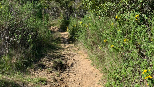 Marker 9 to marker 7 is a bit more open, but the trail is a bit rougher Marker 9 to marker 7 is a bit more open, but the trail is a bit rougher