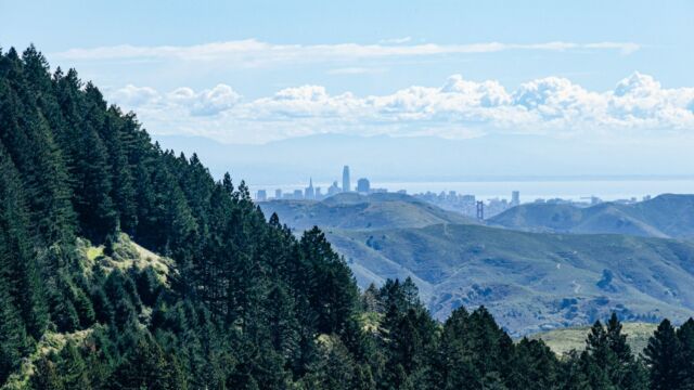 From the bare knoll, Marin headlands and then San Francisco in the haze Matt Davis Trail