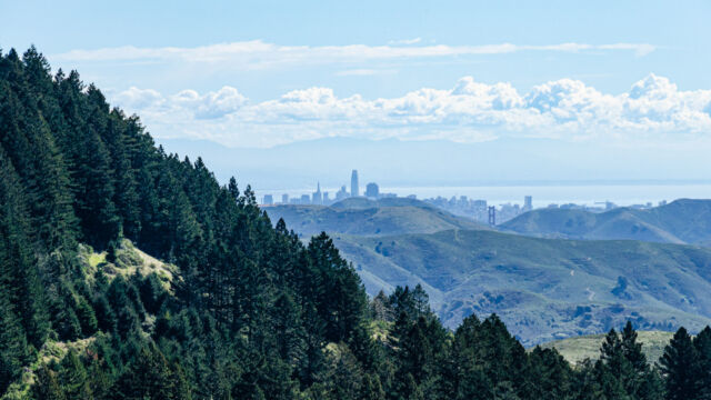 From the bare knoll, Marin headlands and then San Francisco in the haze Matt Davis Trail