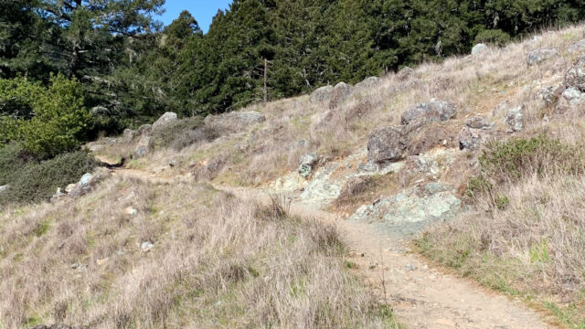 The start of the trail, grassy hillside and serpentine outcropping Matt Davis Trail