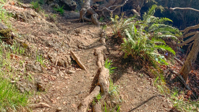 Some portions of the trail are rougher than others Matt Davis Trail