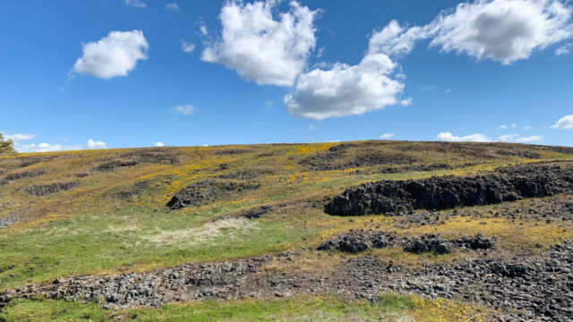 Hillsides of a canyon with poppies North Table Mountain