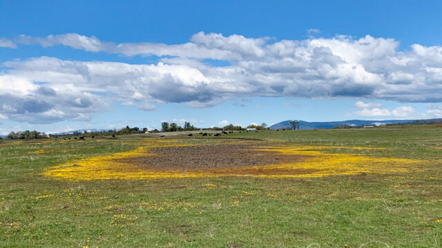 Basalt ridge shows an effect almost like a vernal pool North Table Mountain north plateau