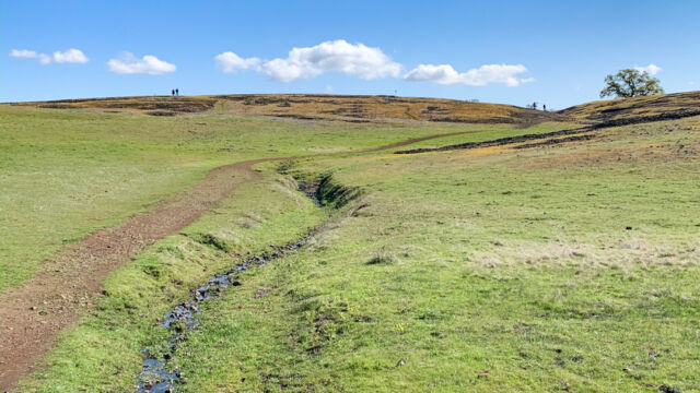 The trail back towards the trailhead, open grassy slopes North Table Mountain