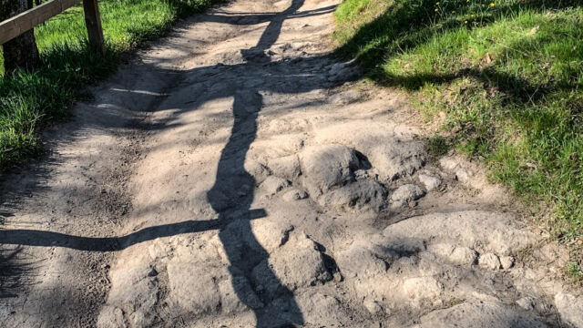 The start of the hike, on the Devil's Backbone trail The start of the hike, on the Devil's Backbone trail