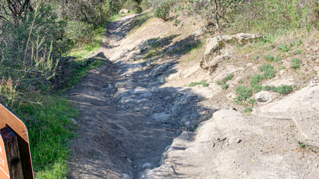 Lower Tilley Loop south side, drier and more exposed, with different wildflowers Lower Tilley Loop south side, drier and more exposed, with different wildflowers