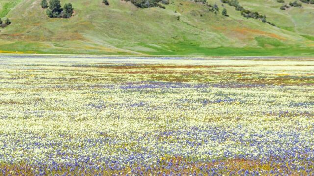 Valley floor color from the roadside Valley floor color from the roadside