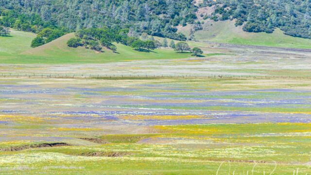 Valley floor color looking down from the hillside road Valley floor color looking down from the hillside road