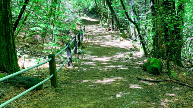 Rock Creek Nature Study Area trail