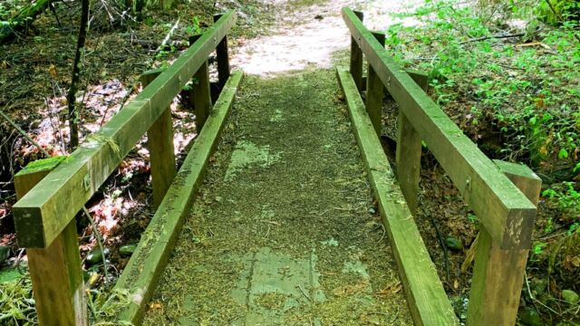 Rock Creek Nature Study Area trail