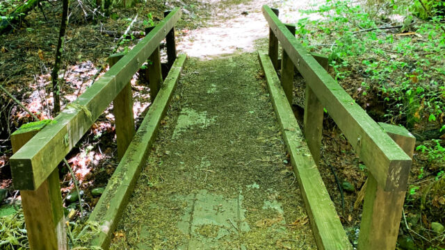Rock Creek Nature Study Area trail