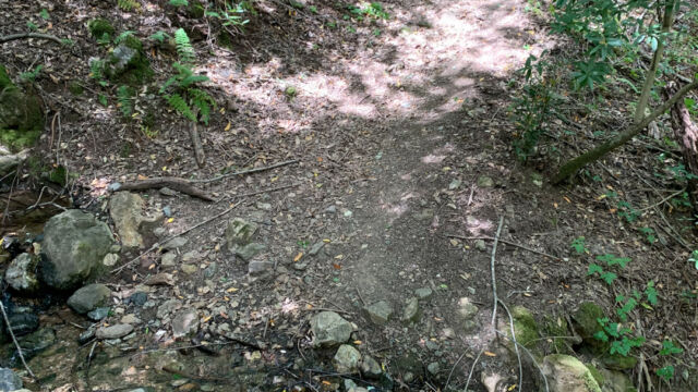 Lower traverse trail, there are a few streamlets, and it is shady Lower traverse trail, there are a few streamlets, and it is shady