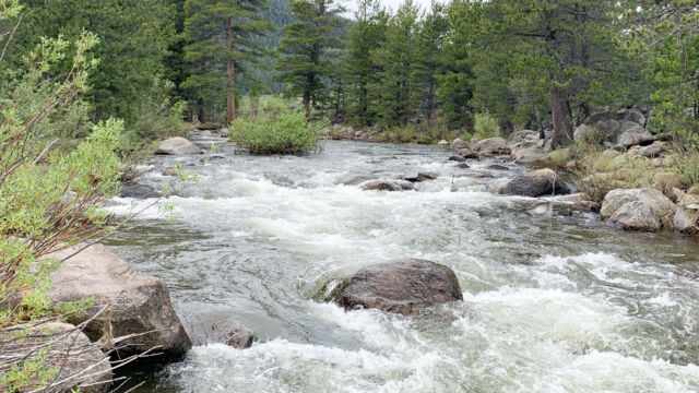 The Carson River flowing through the area. A very popular fishing area The Carson River flowing through the area.