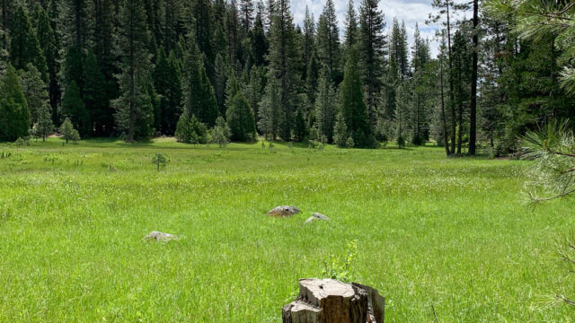 The view east over the fen, from our parking spot The meadow looking east, Onion Valley