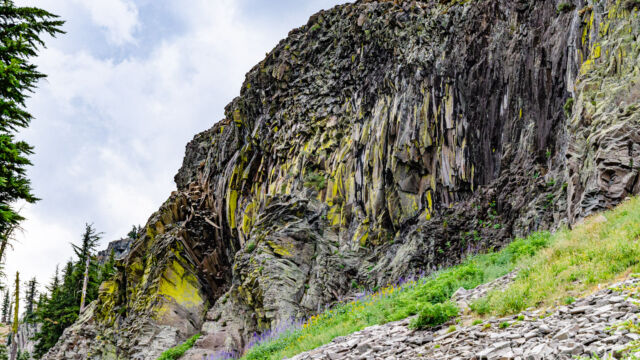Rock wall at the top of the meadow. Lichen on the rocks, lupine and other wildflowers on top of the rockfall Rock wall at the top of the meadow. Lichen on the rocks, lupine and other wildflowers on top of the rockfall