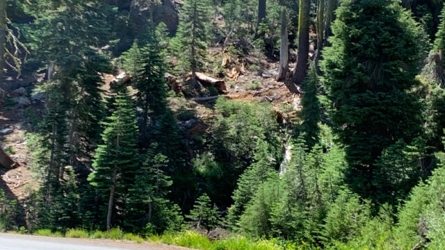 View of the start of the Hidden Meadow trail from the parking spot. The creek is in the dense brush at the center View of the start of the Hidden Meadow trail from the parking spot. The creek is in the dense brush at the center