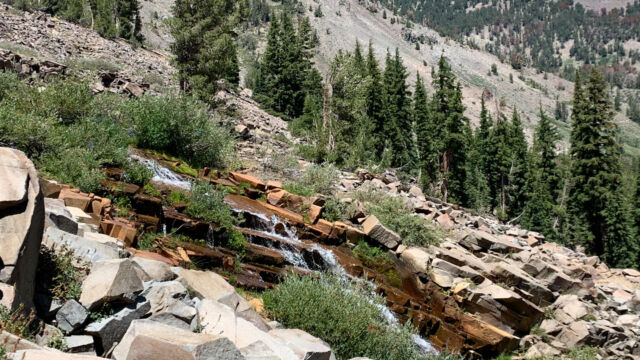 The cascade at the upper end of the falls. There were flowers here, but the rocks can be very slippery Galena Falls trail