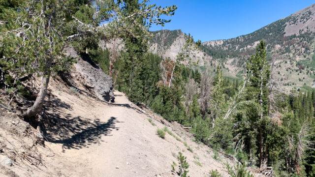 Past the crest, heading down to the meadow, steep volcanic soil slopes. Very dry Galena Falls trail
