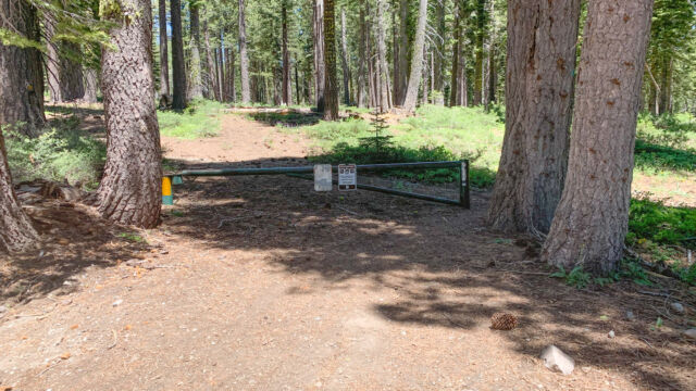 Trail head for the hike to Page Meadows, one of several. Page Meadows