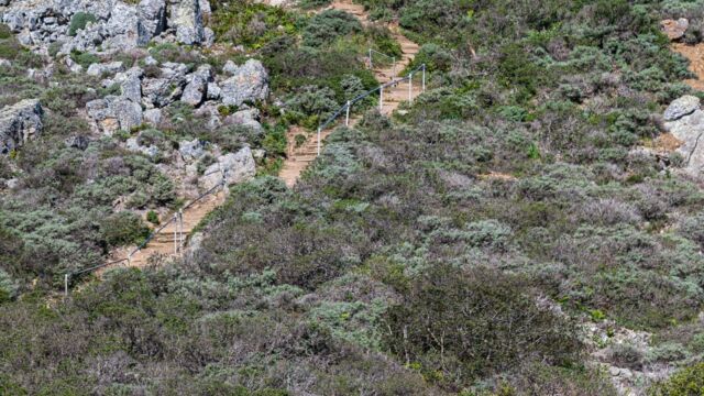 Near the top, the Coastal Trail gets steeper. Lots of stairs!