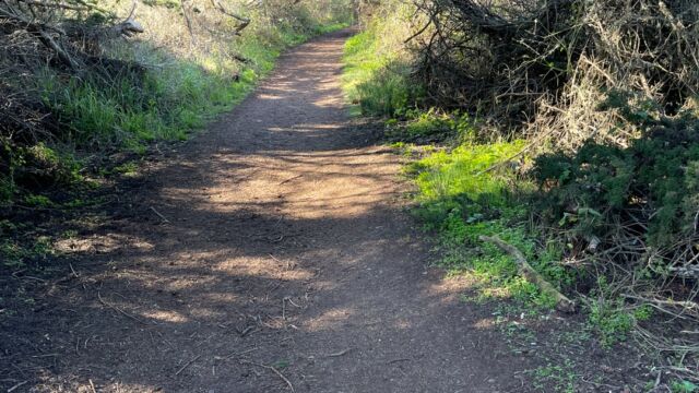 Path towards beach from the parking lot