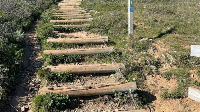 Climbing to the top. More stairs!