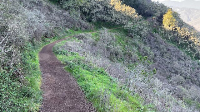 Wolf Ridge trail The Wolf Ridge trail runs along the north edge of the ridge. Narrow but fairly smooth