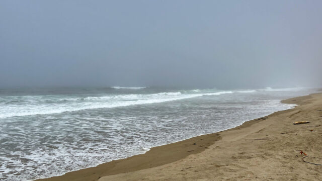 The beach at Abbotts Lagoon, fog trying to come in The beach at Abbotts Lagoon, fog trying to come in