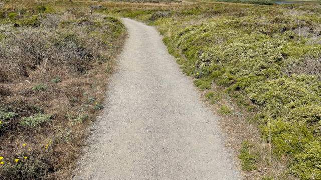 Start of the trail Abbotts Lagoon trail at the start, from the parking area