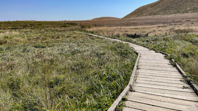 Boardwalk Abbotts Lagoon. Walkway across a seasonally wet meadow