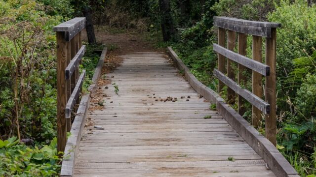 Creek crossings are easy
